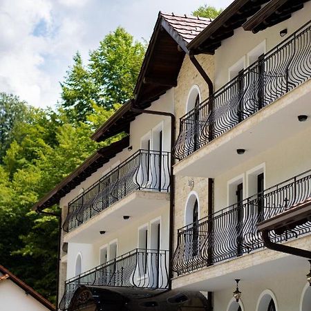 Hotel Perla Dacilor Gradistea de Munte Exterior foto